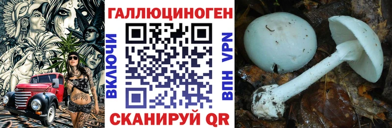 Псилоцибиновые грибы GOLDEN TEACHER blacksprut ТОР Семикаракорск купить цена